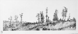 Carte 2 Retour en forêt