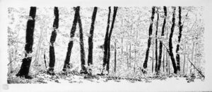 Carte 3 Retour en forêt